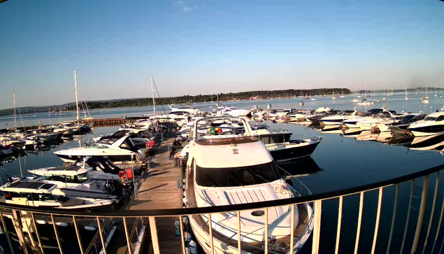 A marina filled with various boats and yachts docked along wooden piers, with calm water reflecting their images. The sky is clear and blue, and a distant shoreline with trees is visible on the horizon.