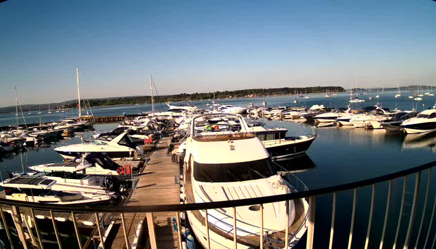 A marina filled with various white and dark-colored boats and yachts docked along wooden piers under a clear blue sky. Some boats have sails, and the water is calm with reflections of the boats. In the background, there is a tree-lined shoreline extending across the horizon.