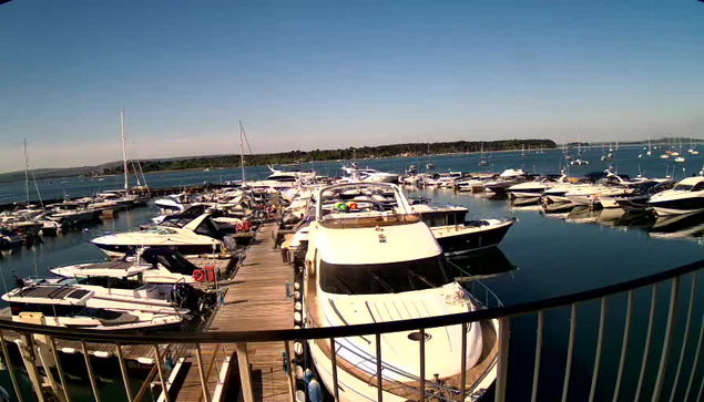 A scenic view of a marina with numerous white and dark-colored boats and yachts docked along wooden piers. The calm water reflects the clear blue sky, and a railing is visible in the foreground. In the background, a stretch of green land separates the marina from the open water.