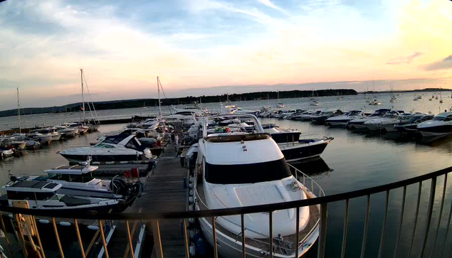 A marina at sunset with numerous boats docked along wooden piers. The sky is tinged with soft pastel colors, and calm water reflects the boats and sky. A railing curves in the foreground.