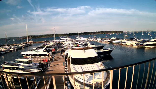 A scenic view of a marina filled with various boats and yachts docked along a wooden pier, with calm water and a distant tree-lined shoreline under a partly cloudy sky.