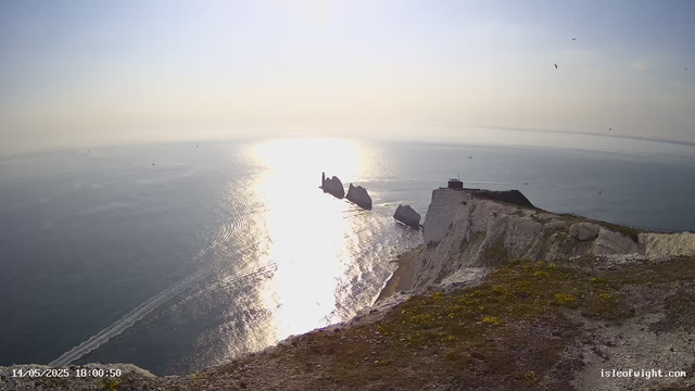 A view from a webcam showing white chalk cliffs overlooking the ocean at sunset. The sky is clear with a few seagulls flying in the distance. The sun is low on the horizon, casting a bright reflection on the water. The cliffs have patches of green moss and are rugged with some rocks jutting into the sea. A small building or structure is visible at the edge of the cliffs on the right side.