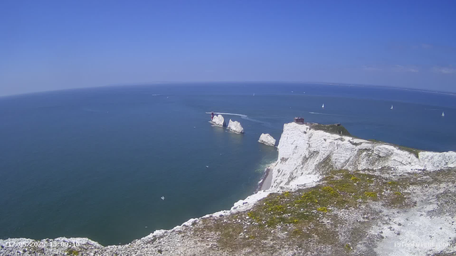 A panoramic view of white chalk cliffs extending into the ocean under a clear blue sky. Several sailboats and boats are visible on the water, and a lighthouse is perched on a prominent cliff. The foreground shows the top of the chalk cliffs with some patches of moss and rocky terrain.