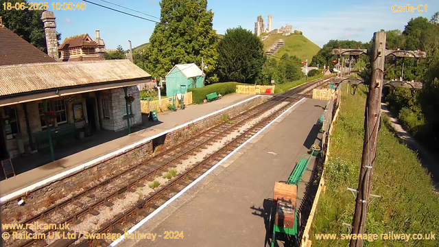 A small rural train station with a single platform, green benches, and a green shed. The track runs through the center with overgrown grass and plants between the rails. An old wooden telephone pole with wires runs along the right side of the platform. In the background, there is a hillside with the ruins of a castle or historical building on top, with lush green trees and clear blue sky. There are a few small structures, a fence, and some gardening tools on the platform. The scene is bright and sunny.