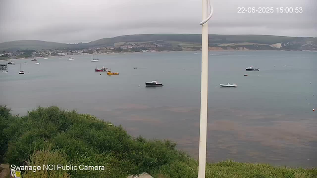 A wide view of a harbor with several small boats floating on calm water under an overcast sky. Green hills are visible in the background across the water. In the foreground, there are lush green shrubs and a white pole near the center of the image. The timestamp shows the date as June 22, 2025, at 3:00 PM.