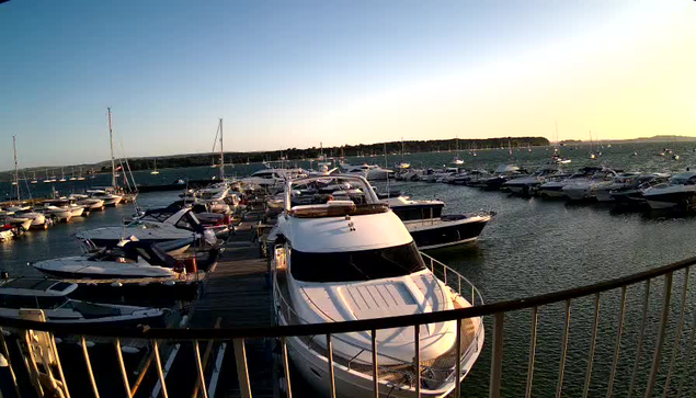 A marina filled with various boats and yachts docked along wooden piers, with calm water and a distant shoreline under a clear sky. The sunlight suggests it is either early morning or late afternoon.