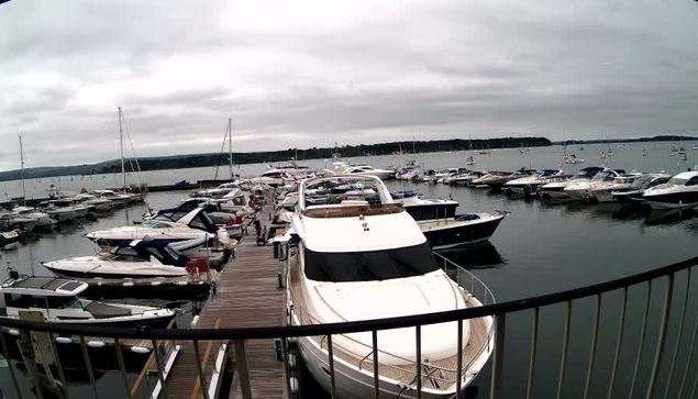 A view of a marina with multiple boats docked along wooden piers. The boats vary in size and design, with some covered by black or white protective covers. The water is calm, and there are several sailboats in the background with masts visible against a cloudy sky. A curved railing is in the foreground, framing the scene.