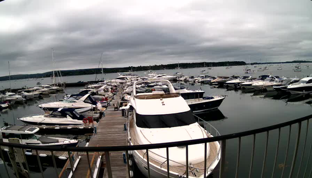 A marina filled with numerous boats and yachts docked along wooden piers. The water is calm and reflects the overcast, cloudy sky above. In the background, a distant shoreline with trees is visible. A black metal railing is in the foreground.