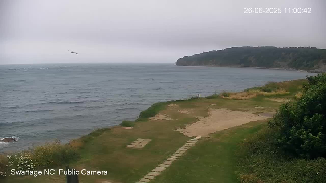 A view of a coastal landscape on a cloudy day. In the foreground, there is a grassy area with a stone pathway leading towards the water. To the right, there are bushes and small trees. The middle ground features a sandy beach extending into the water. The ocean appears calm with gentle waves. In the background, a headland extends into the sea, covered with greenery. A seagull is flying above the water, and the sky is overcast with gray clouds. The timestamp in the upper right corner reads "26-06-2025 11:00:42," and there is text in the bottom left corner that says "Swanage NCI Public Camera."