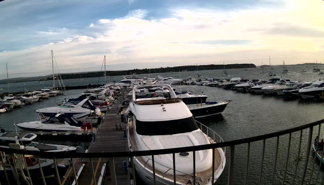 A marina with numerous boats and yachts docked along wooden piers. The water is calm, and the sky is partly cloudy with soft light suggesting either early morning or late afternoon. In the background, there is a breakwater and a distant shoreline.