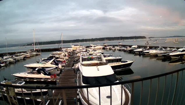 A view from a webcam showing a marina filled with numerous boats docked along wooden piers. The boats vary in size and style, with some having covered cabins and others open. The calm water reflects the boats and the overcast sky above, which has a mix of gray and pinkish hues. In the background, there is a distant shoreline with trees and land extending along the horizon. The scene appears to be taken during early morning or late evening.