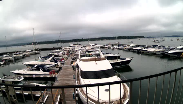 A view of a marina with multiple boats and yachts docked along a wooden pier under cloudy skies. The boats are of various sizes and are secured to the piers, extending into a calm body of water. There is a railing in the foreground and land with trees visible in the distance across the water.