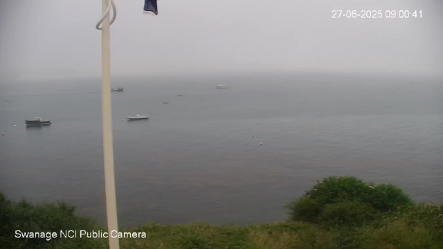 A view of the ocean with several boats floating on calm water. There is a green bushes in the foreground, and a partly visible pole with a piece of dark cloth hanging from it on the left side. The sky is overcast, and the date and time are displayed in the upper right corner.
