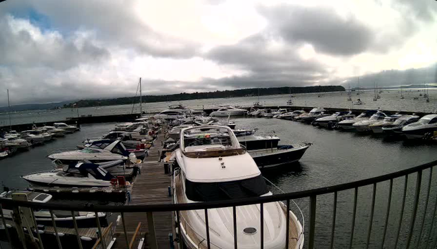A marina filled with numerous boats docked along wooden piers, with a cloudy sky overhead and calm water surrounding the vessels.
