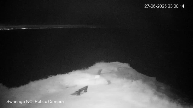 A black-and-white image from a webcam shows a snow-covered landscape at night. The sky is dark, and there are no visible stars or moon. In the foreground, there are some uneven snowdrifts or rocks partially covered in snow. The background is mostly dark with faint outlines of distant hills or trees. The timestamp shows the date as June 27, 2025, at 11:00 PM, and the camera is identified as "Swanage NCI Public Camera."