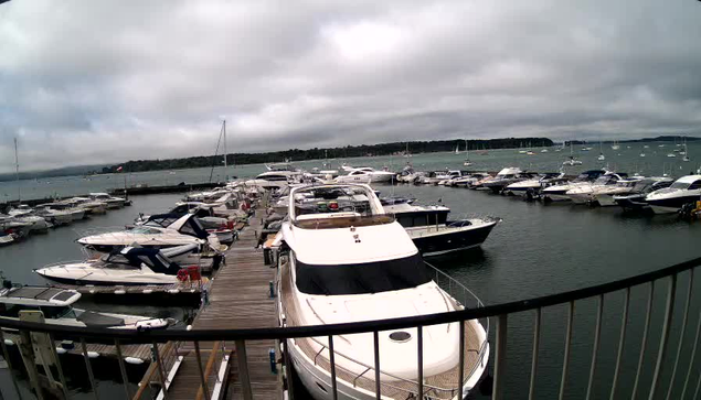 A marina filled with numerous sailboats and motorboats docked along wooden piers under a cloudy sky, with a railing in the foreground and a distant shoreline across the water.