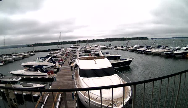 A marina with several boats docked along a wooden pier. The boats vary in size, with some smaller and others larger, and are moored on calm water under an overcast sky. A metal railing is visible in the foreground, curving along the edge of the pier. In the background, there are more boats and a distant shoreline with trees.