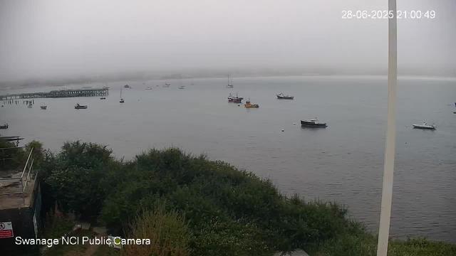 A view of a foggy harbor with several small boats floating on calm water. In the background, there is a pier extending into the water. In the foreground, there are green bushes and trees along the shoreline. The scene appears overcast with low visibility due to fog. The timestamp in the upper right corner shows June 28, 2025, at 9:00:49 PM.