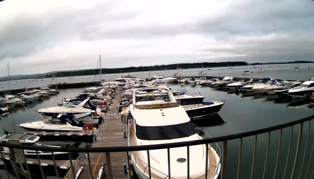 A marina filled with numerous white and dark-colored motorboats and yachts docked along wooden piers. The water is calm, and there are more boats in the distance under a cloudy sky. A metal railing is in the foreground.