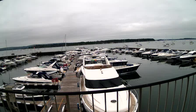 A view of a marina with numerous sailboats and motorboats docked along wooden piers on a cloudy day, with water extending to the horizon and a distant shoreline covered with trees.
