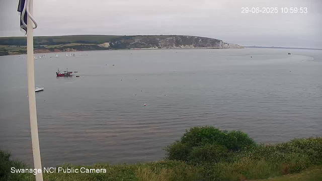 A wide view of a calm body of water with a grassy shoreline in the foreground and a steep, white chalk cliff in the background. Several small boats are floating on the water, and a larger red and white boat is near the center-left. The sky is overcast, and a grassy area with some bushes is visible at the bottom right. There is a white pole on the left edge of the image. The timestamp in the top right corner reads "29-06-2025 10:59:53," and the bottom left corner indicates this image is from the "Swanage NCI Public Camera."