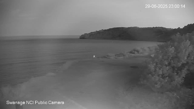 A black and white webcam view of a coastal scene at night, showing a calm body of water with a small island or hill in the background. There is a sandy shoreline with a few small objects or flowers on the ground, and a bush or tree on the right side. The timestamp in the top right corner reads "29-06-2025 23:00:14," and in the bottom left, it says "Swanage NCI Public Camera."
