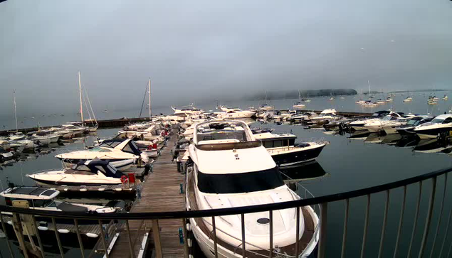 A marina filled with various boats and yachts docked along wooden piers, with calm water reflecting the vessels. The sky is overcast, creating a muted, grayish atmosphere. A curved railing is visible at the bottom of the image.
