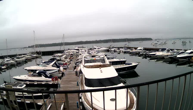 A marina filled with numerous white and dark-colored boats and yachts docked along wooden piers, with a calm body of water and a cloudy sky in the background. A black metal railing is visible in the foreground.