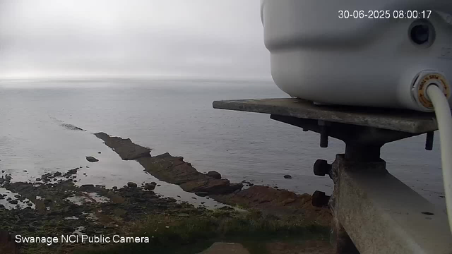 A webcam view overlooking a rocky shoreline meeting the ocean under an overcast sky. In the foreground on the right side, part of a weather station or camera equipment is visible on a metal mount. The scene appears calm with no visible people or animals. The timestamp shows the date as June 30, 2025, at 8:00 AM.