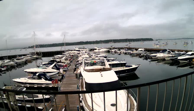A marina filled with numerous boats and yachts docked along wooden piers. The water is calm, reflecting the overcast sky above. In the background, there is a distant shoreline with trees. A black railing curves along the foreground, framing the scene.