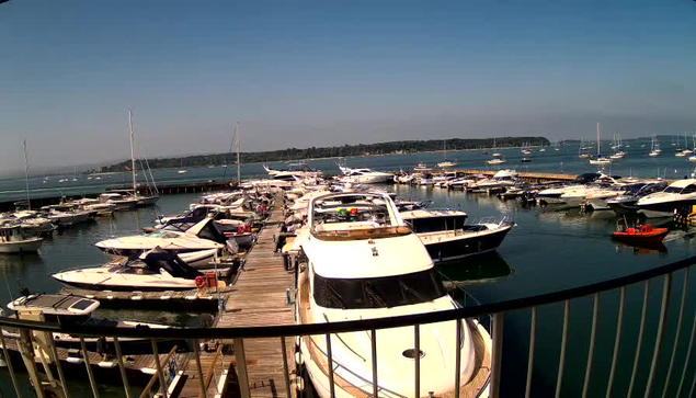A marina filled with various boats and yachts docked along a wooden pier, with sailboats anchored in the open water beyond. A metal railing curves around the foreground, and a distant landmass lines the horizon under a clear blue sky.