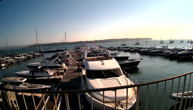 A marina filled with numerous white and dark-colored yachts and boats docked along wooden piers, with calm water and a distant shoreline under a clear sky.