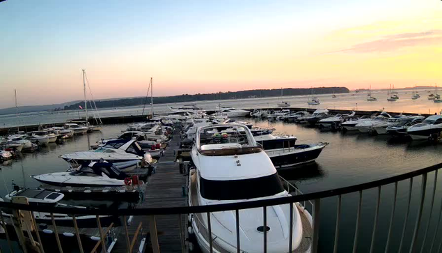 A marina filled with numerous boats docked along wooden piers during sunset. The sky has soft pastel colors with shades of pink, orange, and light blue, and calm water reflects the boats and the sky. A black railing curves around the foreground.
