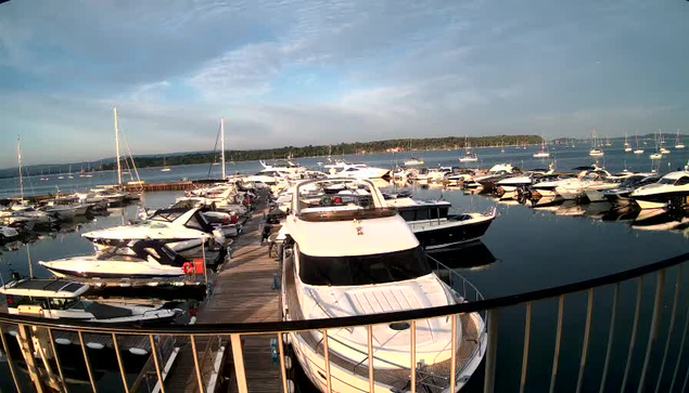 A marina filled with numerous white and dark-colored boats and yachts docked alongside wooden piers, with calm water reflecting the vessels. In the background, there are more boats on the water and a distant shoreline with trees under a partly cloudy sky. The photo is taken from behind a black metal railing.