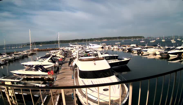 A marina filled with numerous white and dark-colored yachts and boats docked along wooden piers. Some boats are close to the camera, with a large yacht prominently in the foreground. In the background, there are more boats anchored in the water, and a distant shoreline with trees. The sky is lightly cloudy, and the water appears calm. A black metal railing is visible at the bottom foreground of the image.