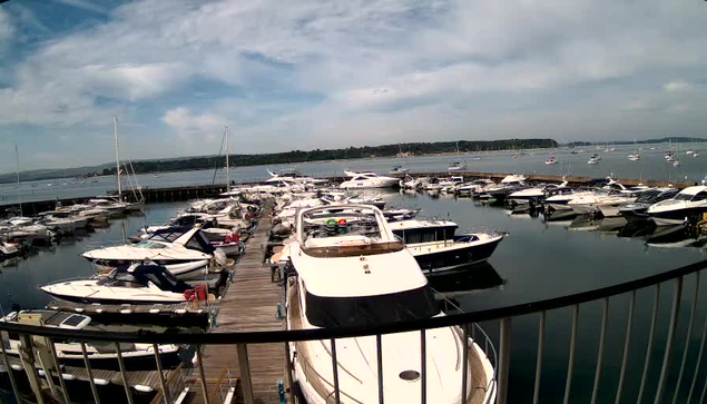A marina filled with numerous white and dark-colored boats docked along wooden piers. The water is calm and reflects the boats. In the background, there are more boats on the water and a distant shoreline with greenery under a partly cloudy sky. A black metal railing curves around the foreground of the scene.