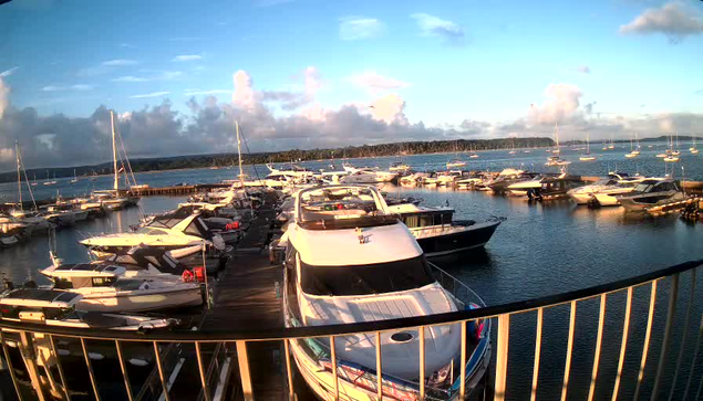 A marina filled with numerous white and dark-colored boats and yachts docked along wooden piers. The water is calm, reflecting the boats and the partly cloudy sky above. In the background, there is a line of trees stretching across the horizon. The scene is bathed in warm sunlight, suggesting late afternoon or early evening.