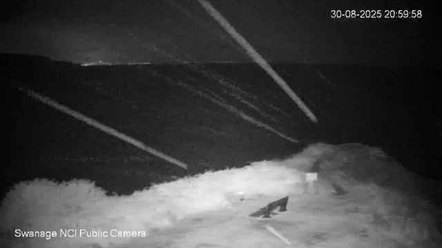 A black-and-white image from a night vision security camera shows a street scene at night. The timestamp in the upper right corner reads "30-08-2025 20:59:58." In the lower left corner, it says "Swanage NCI Public Camera." The scene appears mostly dark, with faint outlines of the road and some objects on the ground, but no clear details are visible.