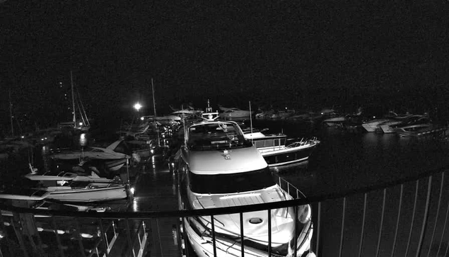 A black-and-white photo of a marina at night showing multiple boats docked in the water. In the foreground, there is a metal railing, and several boats of varying sizes are moored closely together, with some lights faintly illuminating parts of the scene.