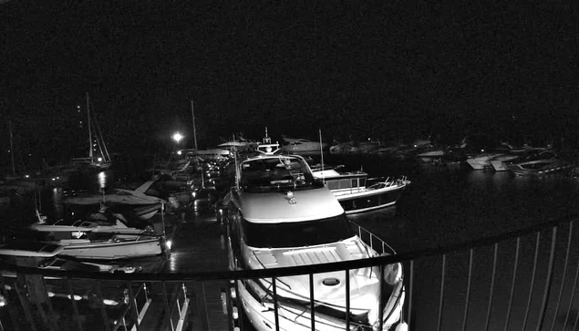 A black-and-white image of a marina at night with several boats docked. The boats are illuminated by a few small lights, and there's a railing in the foreground. The scene is dark overall, with the boats' outlines visible against the night sky and water.