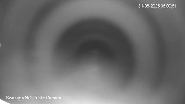 A black-and-white, blurry close-up of an eye with the iris and pupil faintly visible. Text in the top right corner indicates the date and time as "31-08-2025 05:00:51," and in the bottom left corner, it says "Swanage NCI Public Camera."