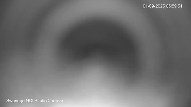 A blurry black-and-white close-up image of a nose, taken from a webcam. The timestamp on the top right corner reads "01-09-2025 05:59:51," and at the bottom left, it says "Swanage NCI Public Camera."