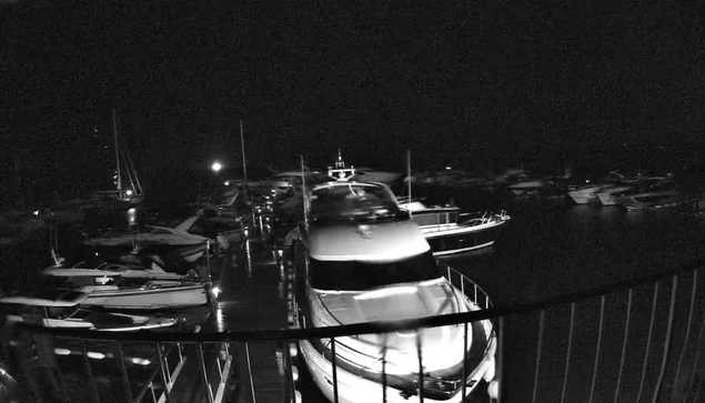 A black-and-white image of a marina at night, with several boats and yachts docked along the pier. The scene is dimly lit, with some reflections on the water and a faint light source in the background. The image is viewed from behind a curved railing or barrier in the foreground.