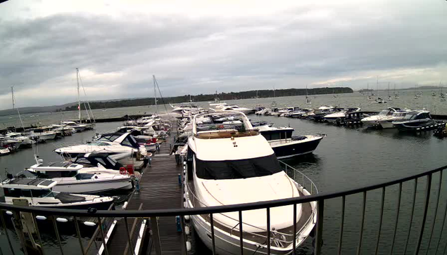 A marina filled with various boats and yachts moored along wooden docks, with an overcast sky and calm water. In the background, there is a distant shoreline with trees and more boats anchored in the water. A black metal railing curves in the foreground.