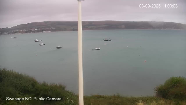 A view of a calm body of water with six small boats scattered across the surface. In the background, there are hills under an overcast sky. In the foreground, there are some green bushes at the edge of the water. The image has a timestamp in the upper right corner indicating the date and time, and a label in the lower left corner that reads "Swanage NCI Public Camera."