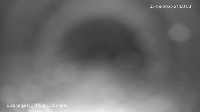 A grayscale image from a surveillance camera showing a shadowy, circular opening or hole in the center. The background appears blurred, and there are some faint, lighter areas on the right side. The timestamp in the upper right corner reads "03-09-2025 21:00:50," and the bottom left text indicates it is from "Swanage NCI Public Camera."