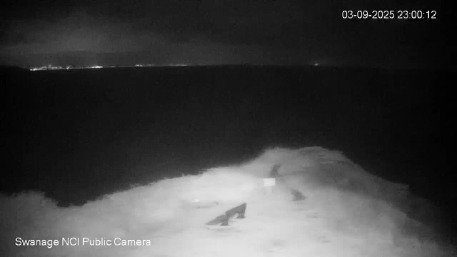 A black-and-white image from a webcam shows a dark, nighttime scene of a beach with sand and rocks in the foreground. The ocean is visible beyond the sand, with a calm, flat surface extending to the horizon where faint lights are seen in the distance. The sky appears dark with some cloud cover, and there is a timestamp in the upper right corner indicating the date and time as March 9, 2025, at 23:00:12. The words "Swanage NCI Public Camera" are written in the lower left corner.
